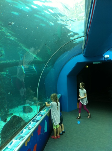 20111019-172206.jpg