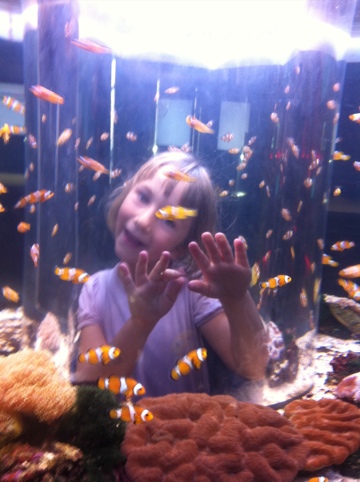 20111019-172248.jpg