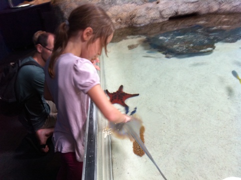 20111019-172305.jpg