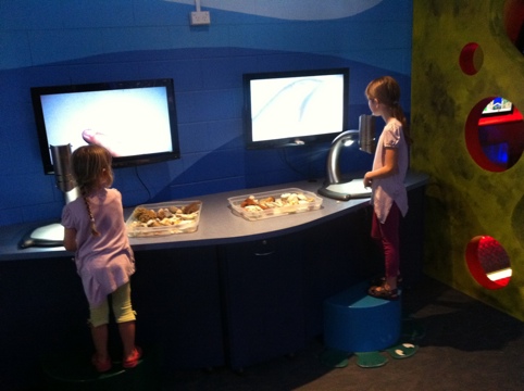20111019-172628.jpg