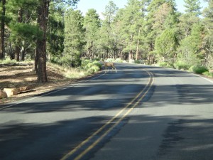 DSC05599