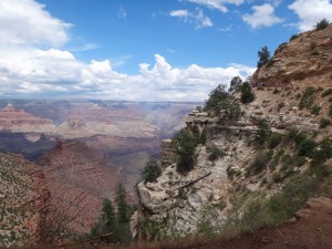 DSC05692