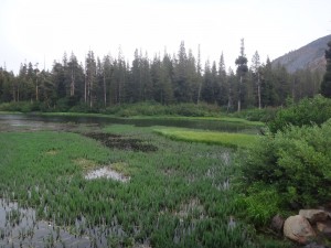 DSC06045