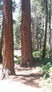 wpid-20140718_130554.jpg